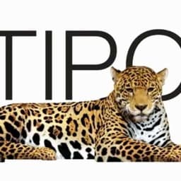 logo company