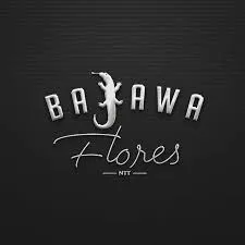 logo company